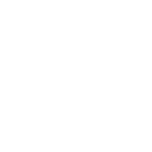 renault.by